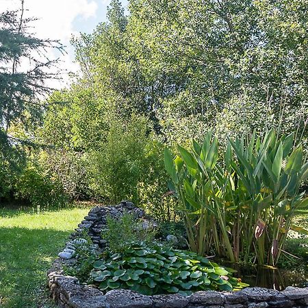 Bed and Breakfast Au Detour Des Vignes Ordonnac Экстерьер фото