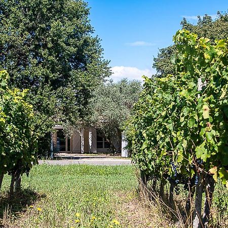 Bed and Breakfast Au Detour Des Vignes Ordonnac Экстерьер фото