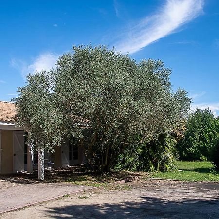 Bed and Breakfast Au Detour Des Vignes Ordonnac Экстерьер фото