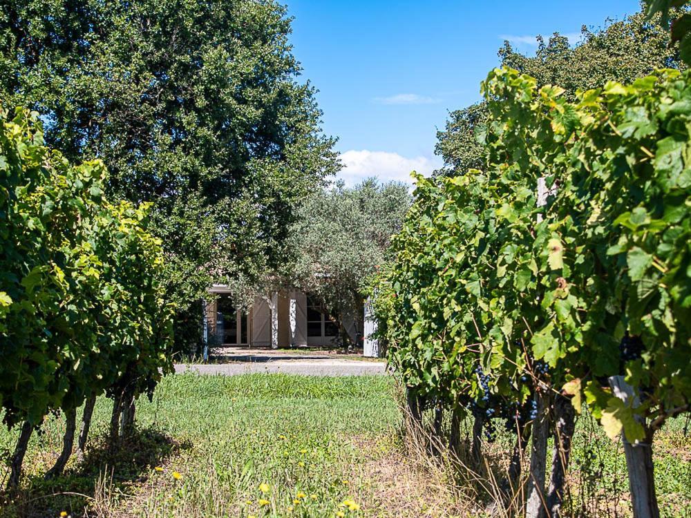 Bed and Breakfast Au Detour Des Vignes Ordonnac Экстерьер фото